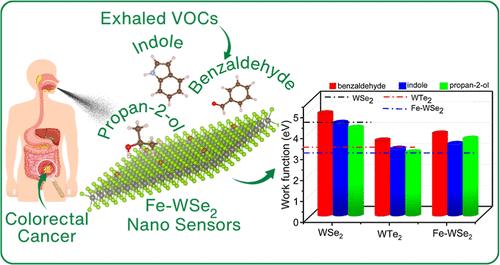 Atomistic Insights into Detection of Volatile Organic Compounds Using Transition Metal Dichalcogenides-Based Nanosensors