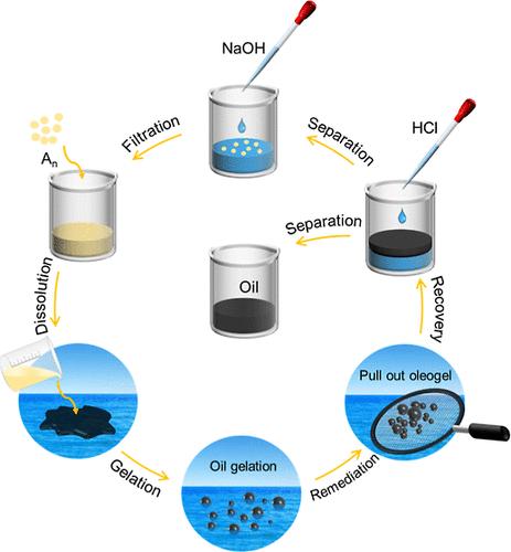 Phase-Selective Organogelators with pH-Triggered Recovery for Efficient Oil Spill Treatment