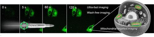 Amphiphilic Carbon Dots for Ultrafast and Wash-Free Mitochondria-Targeted Imaging