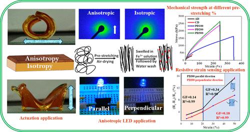 Anisotropic Anti-Swelling Hydrogels with Hydrophobic Association and Metal–Ligand Cross-Links for Applications in Underwater Strain Sensing and Anisotropic Actuation