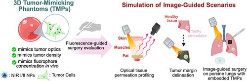 3D Tumor-Mimicking Phantom Models for Assessing NIR I/II Nanoparticles in Fluorescence-Guided Surgical Interventions