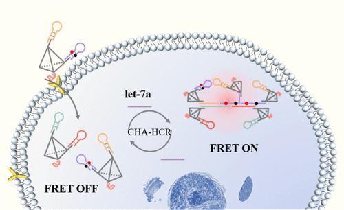 Highly Sensitive Detection of Let-7a in Different Tumor Cells Based on a Dual Cascade Signal Amplification Strategy