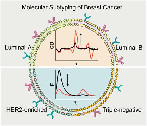 Dual-Signal Probing of Molecular Subtypes of Breast Cancer: Synergistic Chirality and Charge-Transfer Effect Enable Enhanced Accuracy