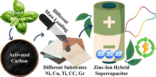 Boosting Zinc-Ion Hybrid Supercapacitor Performance with Basil-Derived Activated Carbon: Impact of Substrates and Mass Loading on Electrochemical Efficiency