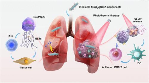 Spatiotemporally Controlled Co-Treatment of Lung Cancer and Pulmonary Immune-Related Adverse Events by Inhalable Albumin-Chaperoned Ultrathin MnO2 Nanosheets
