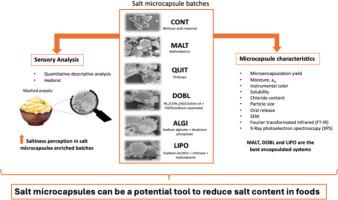 Development of sodium chloride microcapsules as saltiness enhancement strategy