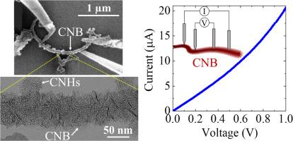Resistivity of individual fibrous aggregates of carbon nanohorns