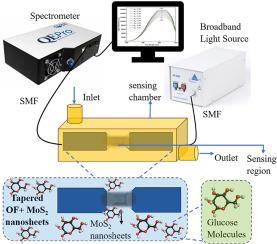 MoS2 sensitized tapered fiber optic evanescent wave sensor for refractive index based glucose sensing application