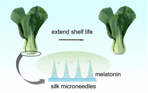 Precise Delivery of Physiological Doses of Melatonin in Planta to Control Postharvest Physiology and Extend Shelf Life Outside the Cold Chain