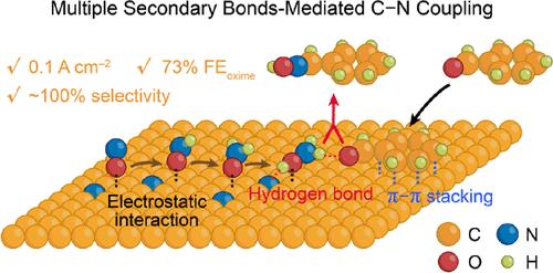 Multiple Secondary Bond-Mediated C–N Coupling over N-Doped Carbon Electrocatalysts