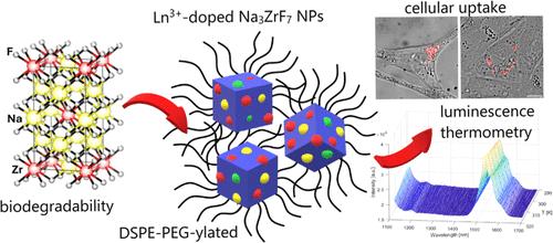 Developing Upconversion (Yb3+–Er3+) and Downshifting (Yb3+–Ho3+–Er3+) PEG-Ylated Na3ZrF7 Degradable Nanoparticles as Ratiometric Luminescent Nanothermometers for Theranostic Applications