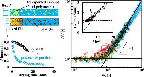Drying Kinetics of Polymer Solutions with and without Colloidal Particles