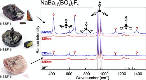 Insights into the Defect Structure of NaBa12(BO3)7F4 (NBBF) Crystals Using Raman Spectroscopy: Numerical and Experimental Study