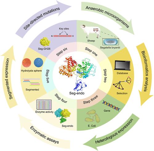 Enzymatic Characterization of a Rumen Microorganism-Derived Multifunctional Glycoside Hydrolase and Its GH26 Domain with Mannanase Activity