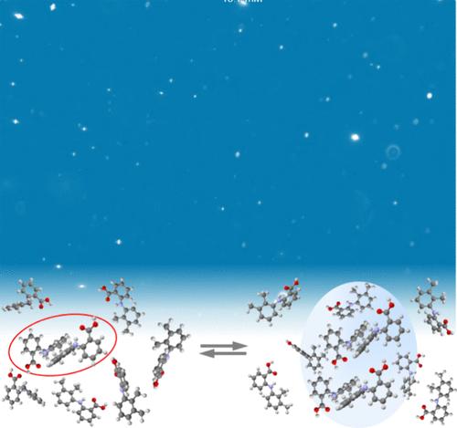 Mesoscopic Solute-Rich Clusters in Organic Solutions