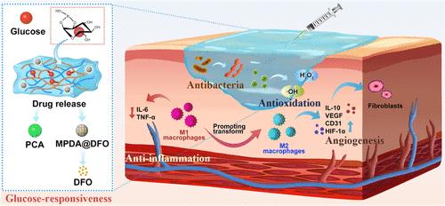 Injectable Polysaccharide-Based Hydrogel with Glucose Responsiveness as an Immunoregulatory Platform for Enhanced Diabetic Wound Healing