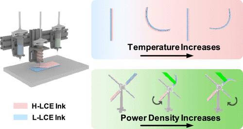 Dynamically Switchable 3D Shape-Morphing and Rotation from Liquid Crystal Elastomer Actuators