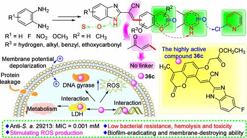 Heteroarylcyanovinyl Benzimidazoles as New Antibacterial Skeleton with Large Potential To Combat Bacterial Infections