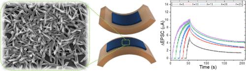Wafer-Scale Tellurium Nanotube Meshes for Optically Modulated and Mechanically Flexible Artificial Synapses