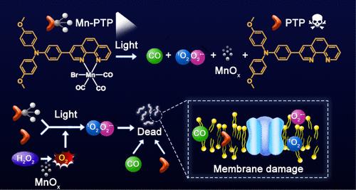 One-for-All Photoactivatable Manganese-Based Carbon Monoxide-Releasing Molecules (CORMs) for Synergistic Therapy of Mycobacterial Infection