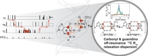 Probing rare and short-lived conformational states in nucleic acids using off-resonance carbonyl and guanidino carbon R1ρ relaxation dispersion