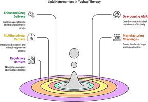 Lipid-based nanocarriers in topical applications for skin infections