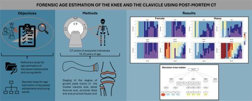 Forensic age estimation of the knee and clavicle using post-mortem CT