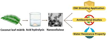 Nanocellulose from coconut midrib used for antibacterial and electromagnetic interference shielding applications†