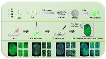 Synthesis of starch-based F/N-doped carbon dots for enhanced detection of latent fingerprint tertiary structures