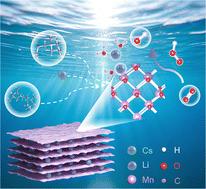 Interfacial cation engineering in δ-MnO2 nanosheets for efficient oxygen reduction reaction†