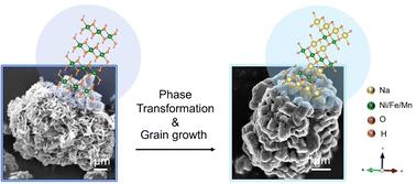 Elucidating the phase transformations and grain growth behavior of O3-type sodium-ion layered oxide cathode materials during high temperature synthesis†