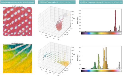 Dude, everyone wants pattern analysis tools (DEWPAT): Tools for measuring visual pattern complexity from digital images