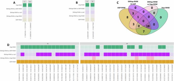 Evaluating regional heritability mapping methods for identifying QTLs in a wild population of Soay sheep