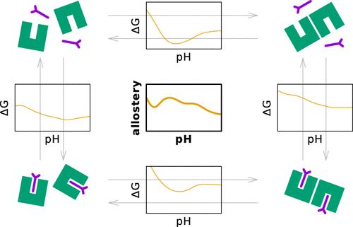 Computing the pH-Dependent Thermodynamics of the Allostery between Dimerization and Palmitate Binding in β-Lactoglobulin