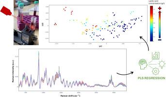 Raman spectroscopy as a rapid tool for monitoring lactic acid concentration during wine malolactic fermentation directly in the winery
