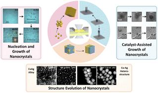 In situ transmission electron microscopy characterization and manipulation of the morphology, composition and phase evolution of nanomaterials under microenvironmental conditions