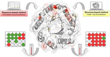 Exploring sequence- and structure-based fitness landscapes to enhance thermal resistance and activity of endoglucanase II with minimal experimental effort†
