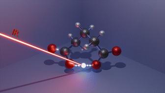 Intramolecular proton bonding in aliphatic dicarboxylate anions: dynamic conformational landscapes and spectral signatures†