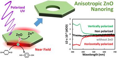 Optically anisotropic ZnO nanorings fabricated using near-field photoelectrochemistry†