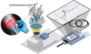 An electrochemically charged nanoengineered bioelectronic immunosensing device for osteopontin detection in serum samples†