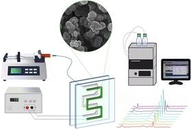 Combination of on-chip electromembrane extraction and solid phase microextraction for determination of non-steroidal anti-inflammatory drugs from biological fluids using poly(methacrylic acid–ethylene glycol dimethacrylate)–Cu/Cr layered double hydroxide composite as a sorbent†