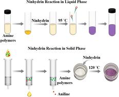 A novel method of solid state ninhydrin reaction and its application in the quantification of oil-soluble amine polymers†