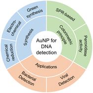 A gold nanoparticle-based colorimetric strategy for DNA detection: principles and novel approaches