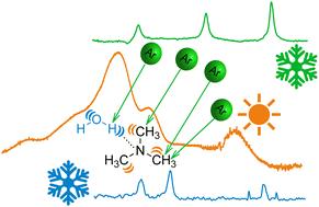 OH-stretching dynamics in trimethylamine monohydrate: what can we learn from three different direct absorption spectra?†