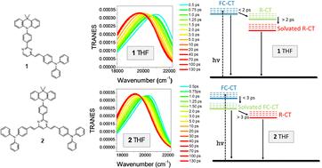 The role of branching in the ultrafast dynamics and two-photon absorption of two pyrimidine push–pull molecules†