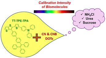 Thienothiophene-based quantum dots: calibration of photophysical properties via carbon dot and biomolecular interactions†