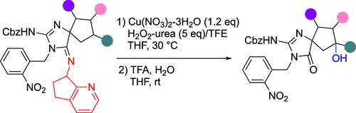 C(sp3)–H Oxidation of Spiroguanidine-Containing Cyclopentanes
