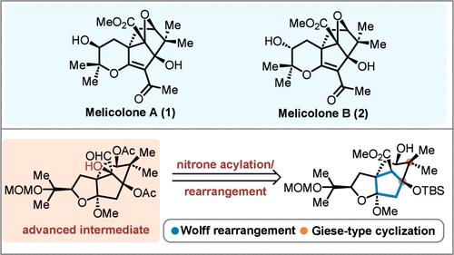A Biomimetic Approach for Construction of an Advanced Intermediate en Route to Melicolones A and B