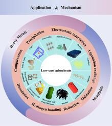 Harnessing low-cost adsorbents for removal of heavy metals and metalloids in contaminated water: Progress in the past decade and future perspectives