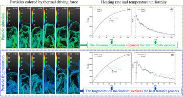 Effects of particle size reduction due to wear on heat transfer in a fluidized bed: A CFD-DEM study